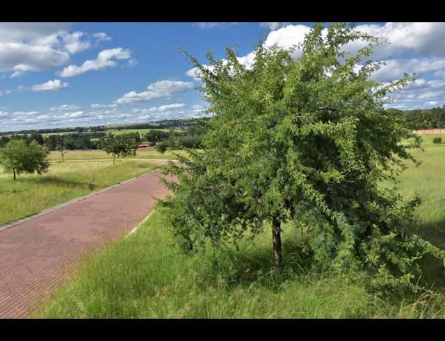 LAND FOR SALE IN KYALAMI AH